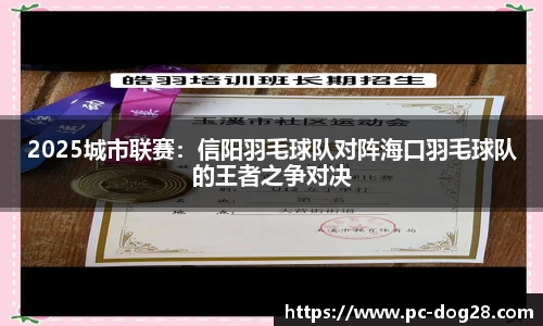 2025城市联赛：信阳羽毛球队对阵海口羽毛球队的王者之争对决